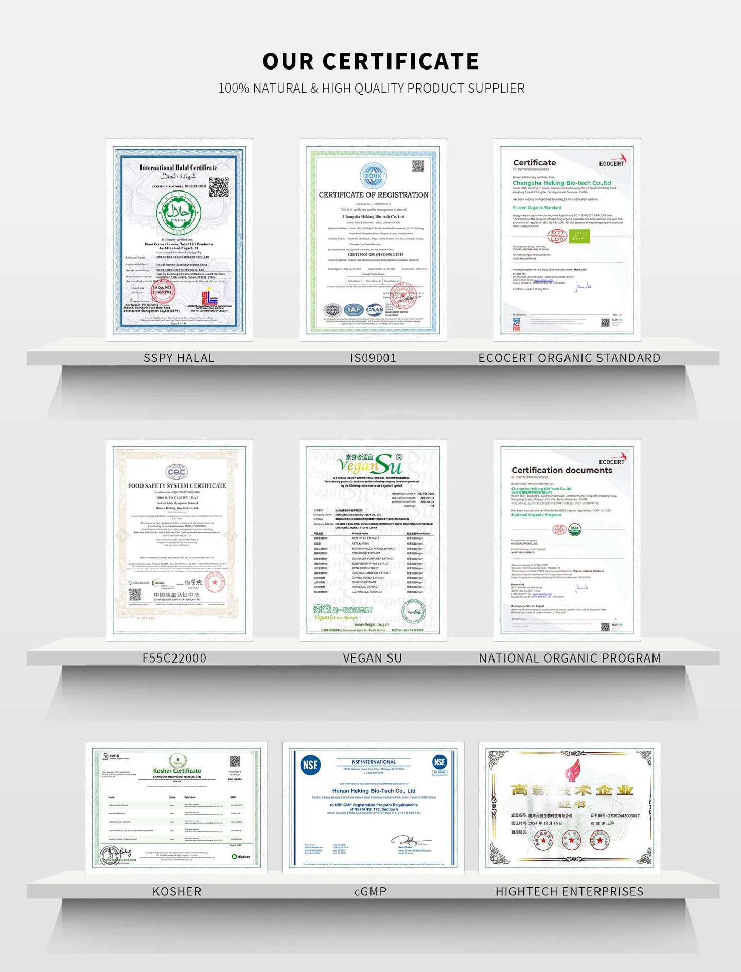 our certificate our certificate